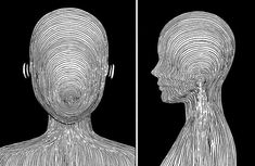 two different views of the back of a person's head, with lines on it