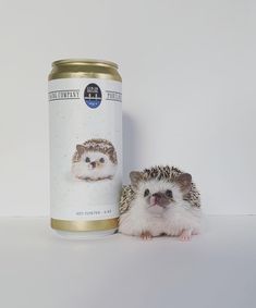 a small hedgehog sitting next to a can of beer