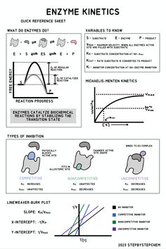 Reference sheet for enzyme kinetics for biochemistry students. Explains general theory, key terms, and types of inhibitors. Enzyme Kinetics, Mcat Study Tips, Organic Chemistry Study, Mcat Study, Medicine Notes, Biology Resources