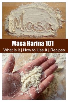 masa marina 101 what is it and how to use it