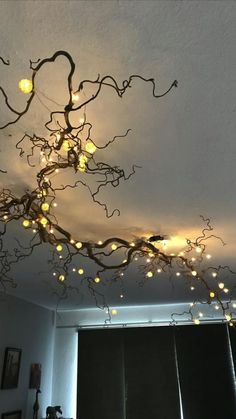 a branch with lights hanging from it's ceiling in a room next to a window