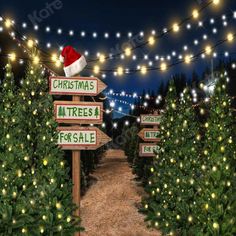 christmas tree sale sign with santa hat on top and lights in the background at night