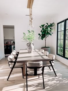 a dining room table with chairs and a potted plant in the center on one side