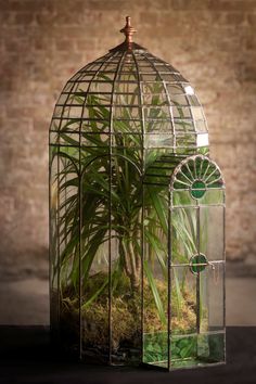 a green plant in a glass container with moss and plants inside it on a table