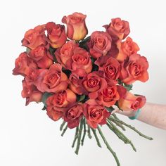 rust coffee break rose Coffee Break Rose, Broken Rose, Flower Moxie, Flower Displays, Flower Varieties, Fresh Cut Roses, Red Season, Rose Bridal Bouquet, Rose Varieties