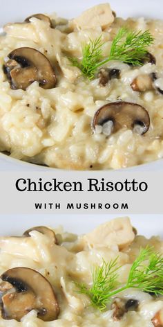 chicken risotto with mushrooms and dill sprig