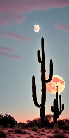 a full moon is seen behind a saguado cactus in the desert at dusk