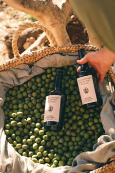 two bottles of olive oil are in a basket filled with green olives on the ground