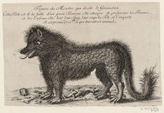 a drawing of a dog with long hair standing in front of a pile of dead birds