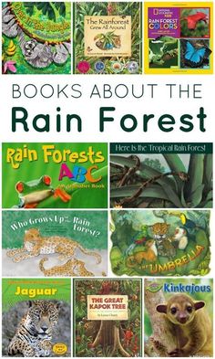 children's books about the rain forest with pictures of animals, plants and trees