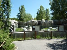 the zoo enclosure is fenced off with rocks and grass on either side of it