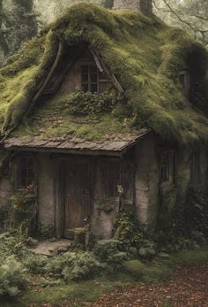 an old house with moss growing on it's roof in the middle of a forest