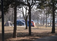 several tents are set up in the woods