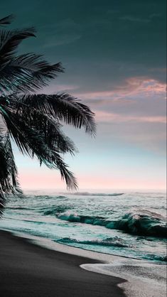 a palm tree on the beach with waves coming in from the ocean and pink sky