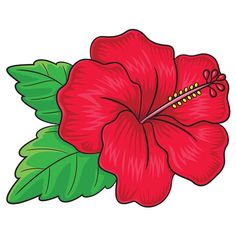 a red flower with green leaves on a white background