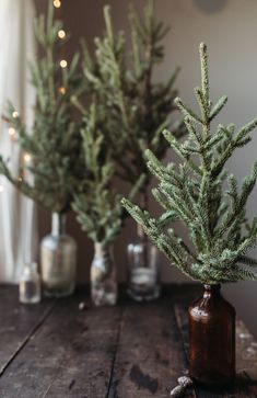 three small christmas trees in glass vases on a wooden table