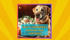 an image of a cake with a dog on it and the words easy 3 - ingredient pumpkin cake for dogs