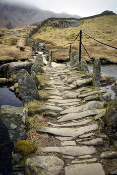 a stone path that leads to a small body of water