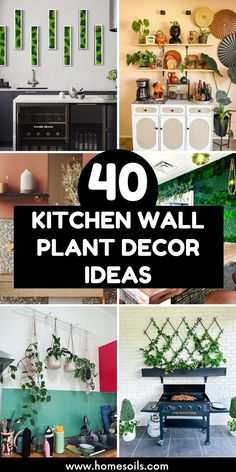 Enhance your kitchen with 40 stylish wall plant decor ideas. Add floating shelves for small herb pots, vertical garden panels, or hanging planters to bring greenery into your cooking space.