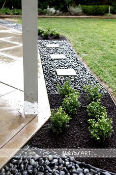 a small green plant sitting in the middle of a garden next to a white building