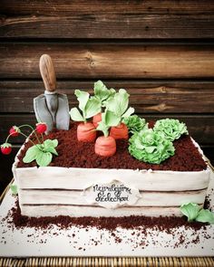 a cake made to look like a garden with potted plants and gardening utensils