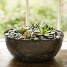 a potted plant sitting on top of a wooden table next to a large window