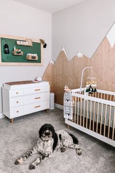 a black and white dog laying on the floor next to a crib in a bedroom