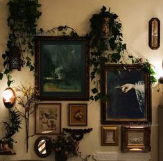 there are many framed pictures on the wall with plants growing up it's side