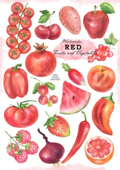 a watercolor drawing of various fruits and vegetables on a white background with the words, red