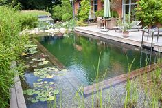 a small pond in the middle of a garden with water lilies and lily pads