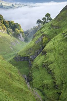 the green hills are covered in fog and low lying clouds