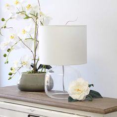 a white flower sitting on top of a table next to a lamp