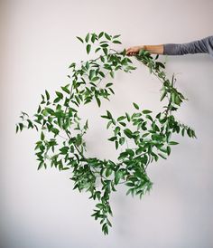 a woman holding up a plant with green leaves on it's back and hanging from the wall