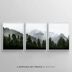 three framed pictures with trees and mountains in the background