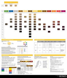 Download Redken color chart 03 Grey Hair Colour Chart, Hair Color Swatches