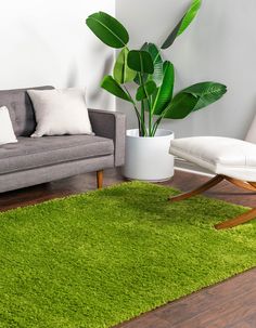 a living room with a couch, chair and green rug