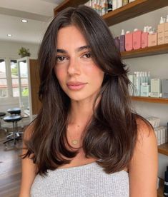 Brunette Hair Cuts, Brown Hair Looks, Brown Hair Inspo, Layered Haircuts For Medium Hair, Bangs With Medium Hair, Long Dark Hair