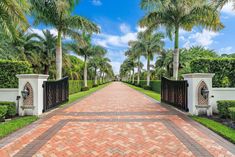 a gated driveway leading to a lush green yard with palm trees on either side