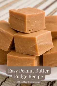 Quick and easy, creamy peanut butter fudge. An easy to make sweet treat from oldworldgardenfarms.com. Peanut Butter Fudge With Condensed Milk, 2 Ingredients Recipes, 2 Ingredient Fudge Condensed Milk, Condensed Milk Recipes Desserts Easy, 2 Ingredient Peanut Butter Fudge Recipe, Aussie Desserts, Two Ingredient Fudge, 2 Ingredient Peanut Butter Fudge