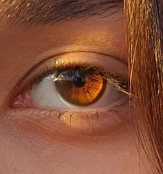 Pale Brown Eyes, Light Amber Eyes, Dark Amber Eyes, Two Color Eyes, Amber Colored Eyes