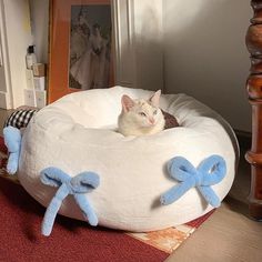 a cat is sitting in a bed made to look like it's floating on the floor