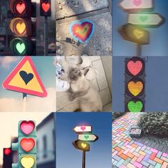 a collage of different street signs with hearts on them and a cat sitting in the middle