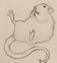 a drawing of a rat sitting on its hind legs with it's paw in the air