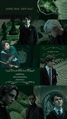 harry potter and hermione's hogwarts collage with the characters