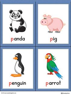 four different pictures of animals and birds with the words panda, pig, penguin, penguin