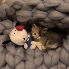 a kitten laying on top of a blanket next to a stuffed animal