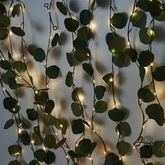 some green leaves and lights are hanging on the wall