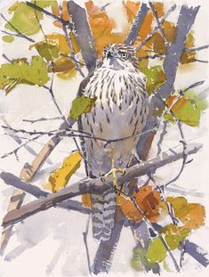 a watercolor painting of a bird perched on a tree branch with leaves around it