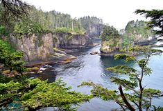 a river surrounded by trees and rocks in the middle of a forested area with lots of water