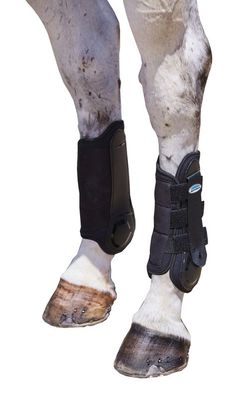 the legs and feet of a horse with an ankle brace